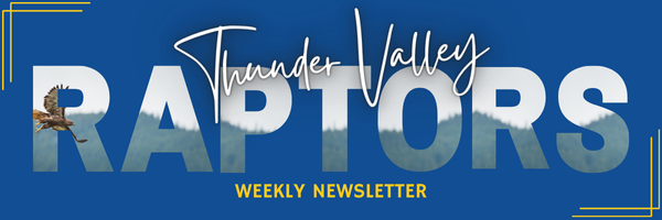Banner for "Thunder Valley Raptors" weekly newsletter, featuring a blue background and a hawk in flight.